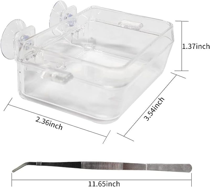 Chameleon Bowl and a Reptile Feeding Tongs 2Pcs Feeder and Water Cups with Suction for Iguana Lizard Gecko Worm