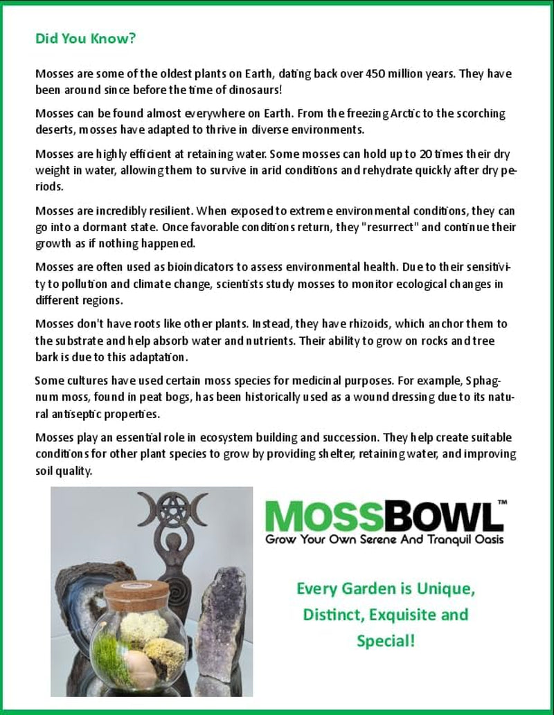 Create Your Serene Moss Sanctuary with the Unique Gardener Moss Bowl Terrarium Kit with LED Light - Perfect for Stress Relief & Air Purification!