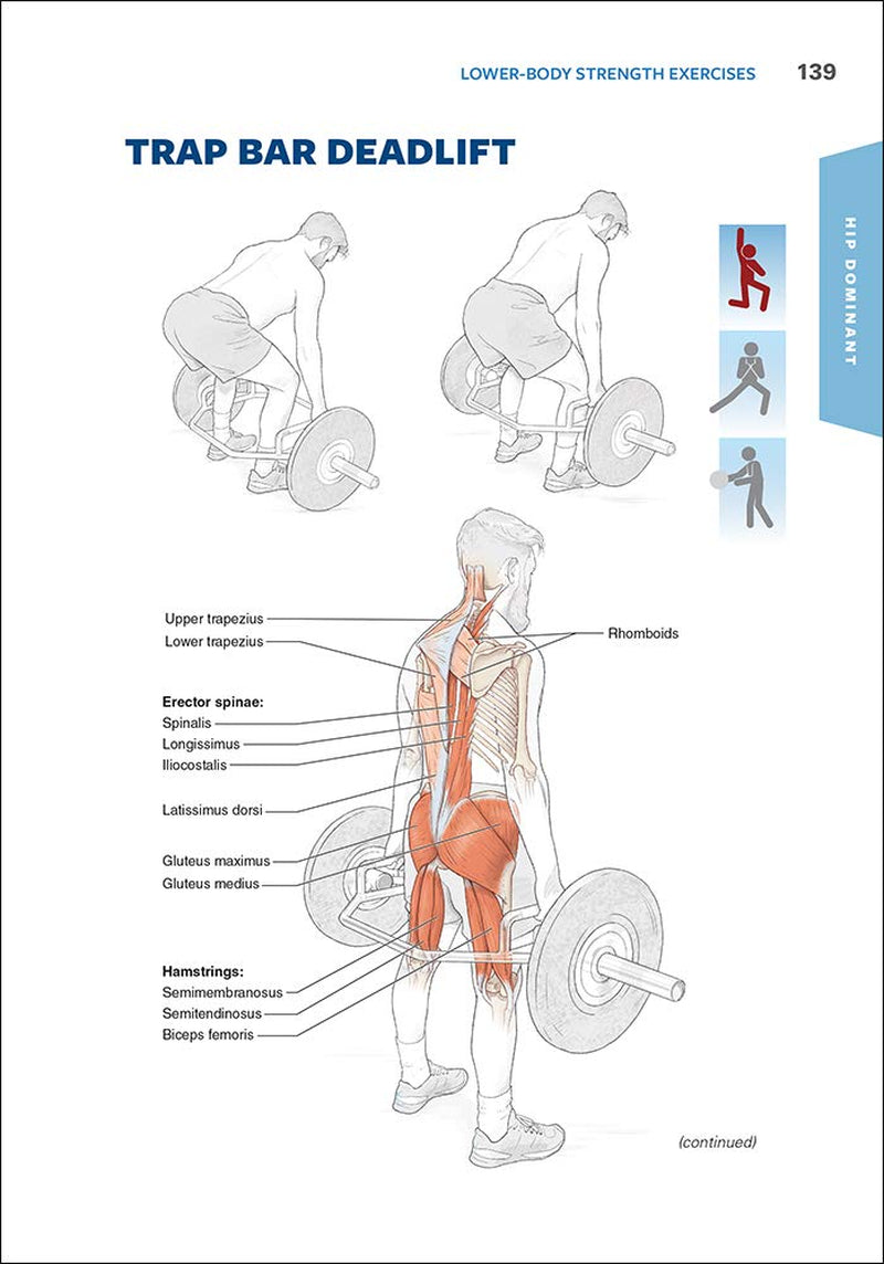 Functional Training Anatomy