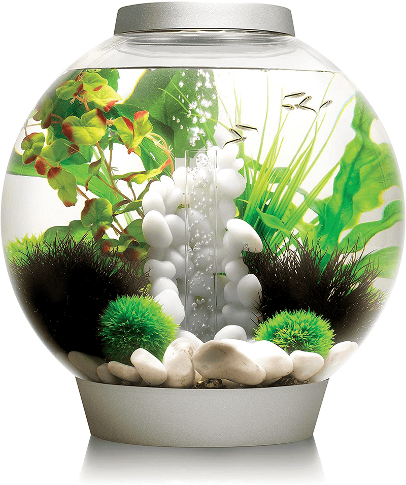 biOrb Classic Aquarium Animals & Pet Supplies > Pet Supplies > Fish Supplies > Aquariums biOrb Silver LED Lighting 8 Gallon