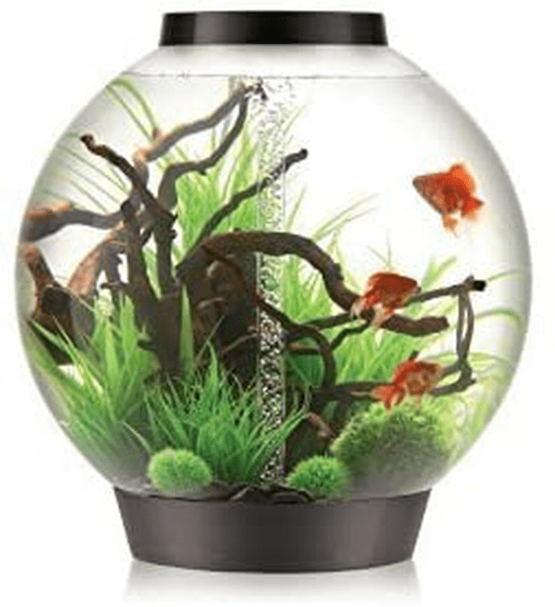 biOrb Classic Aquarium Animals & Pet Supplies > Pet Supplies > Fish Supplies > Aquariums biOrb Black MCR Lighting 28 Gallon