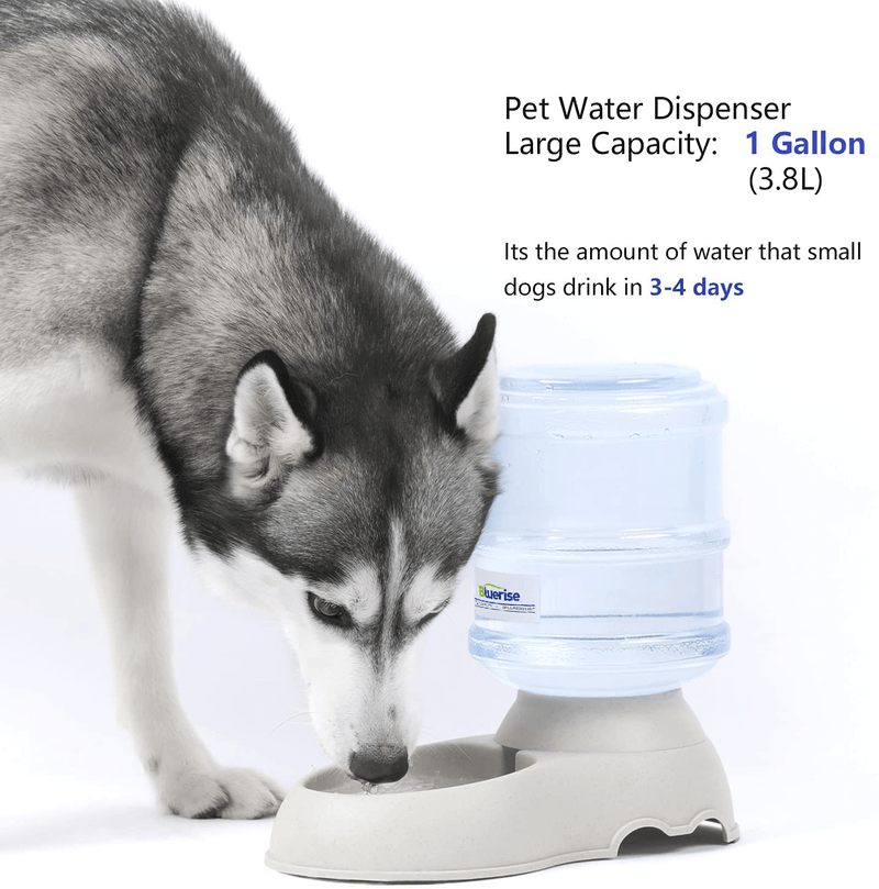 BLUERISE Automatic Dog Feeder Travel Supply cat Food Feeder and Water Dispenser Set 1 Gal x 2 Water Gravity pet Dog Water Fountain