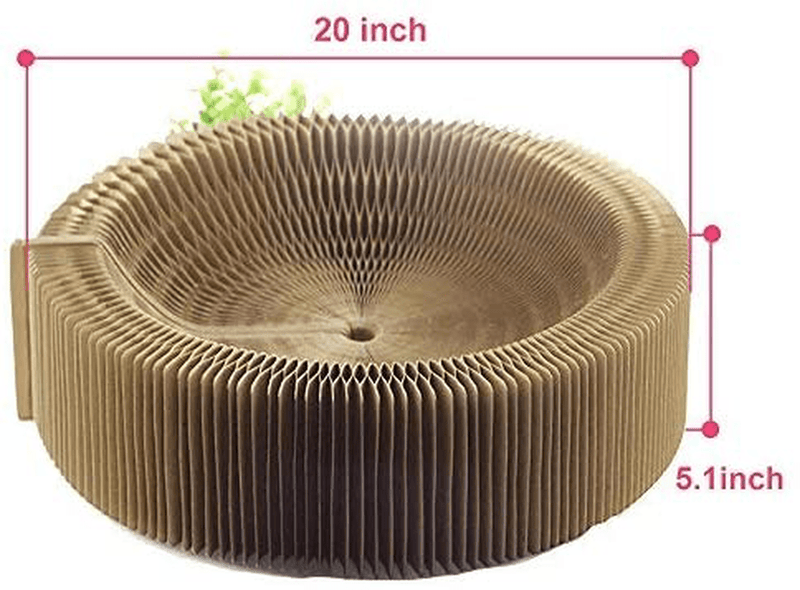 Bobbypet Cat Scratcher Lounge Bed - Collapsible round Shape for Big Cat Animals & Pet Supplies > Pet Supplies > Cat Supplies > Cat Beds BobbyPet   