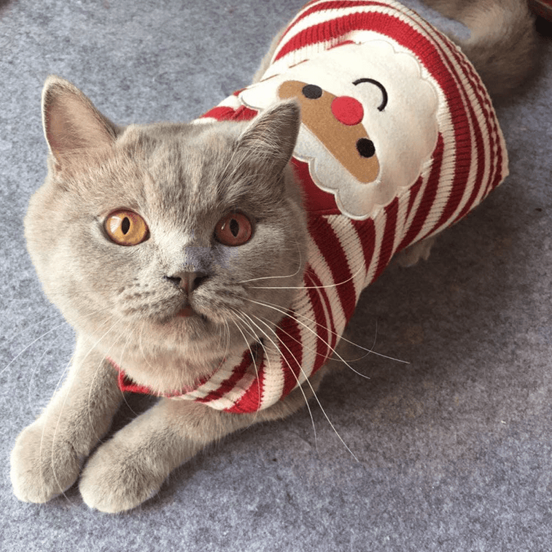 BOBIBI Cat Sweater Christmas Santa Claus Pet Cat Winter Knitwear Warm Clothes Animals & Pet Supplies > Pet Supplies > Cat Supplies > Cat Apparel BOBIBI   