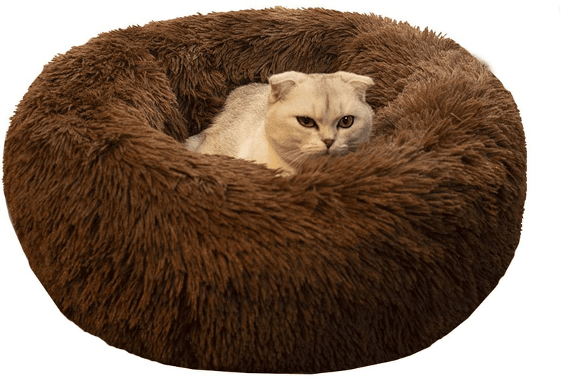 BODISEINT Modern Soft Plush Round Pet Bed for Cats or Small Dogs, Mini Medium Sized Dog Cat Bed Self Warming Autumn Winter Indoor Snooze Sleeping Cozy Kitty Teddy Kennel (M(23.6”Dx7.9 H), Light Grey) Animals & Pet Supplies > Pet Supplies > Cat Supplies > Cat Beds BODISEINT Chocolate Medium (Pack of 1) 