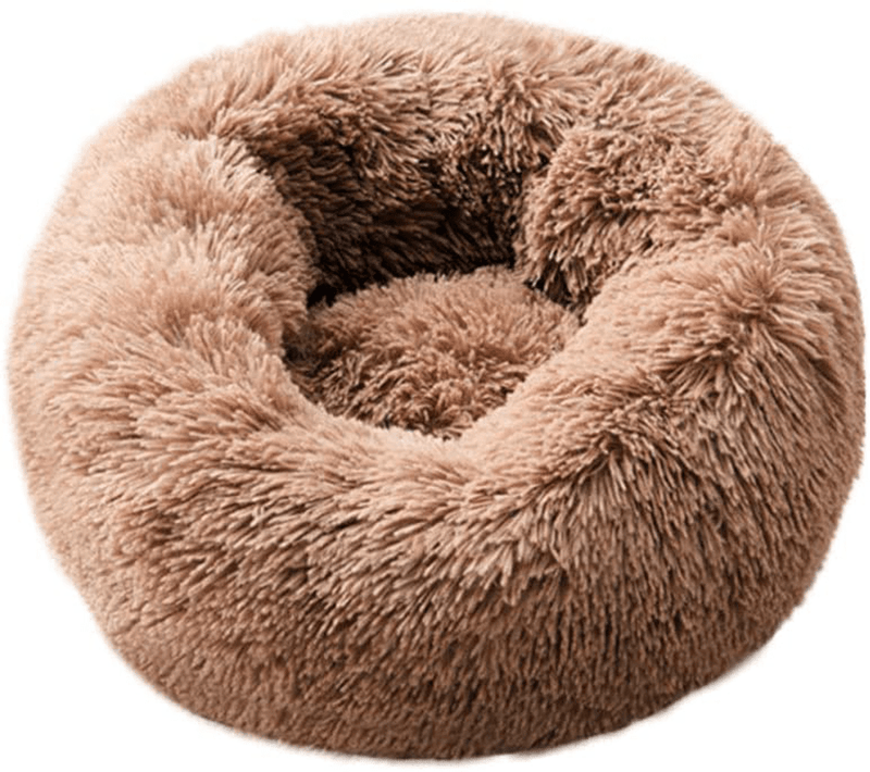BODISEINT Modern Soft Plush Round Pet Bed for Cats or Small Dogs, Mini Medium Sized Dog Cat Bed Self Warming Autumn Winter Indoor Snooze Sleeping Cozy Kitty Teddy Kennel (M(23.6”Dx7.9 H), Light Grey) Animals & Pet Supplies > Pet Supplies > Cat Supplies > Cat Beds BODISEINT Coffee Small (Pack of 1) 