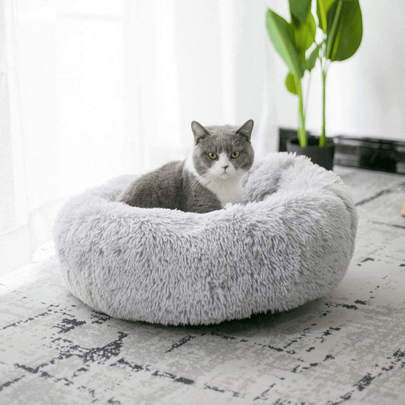 BODISEINT Modern Soft Plush Round Pet Bed for Cats or Small Dogs, Mini Medium Sized Dog Cat Bed Self Warming Autumn Winter Indoor Snooze Sleeping Cozy Kitty Teddy Kennel (M(23.6”Dx7.9 H), Light Grey) Animals & Pet Supplies > Pet Supplies > Cat Supplies > Cat Beds BODISEINT   