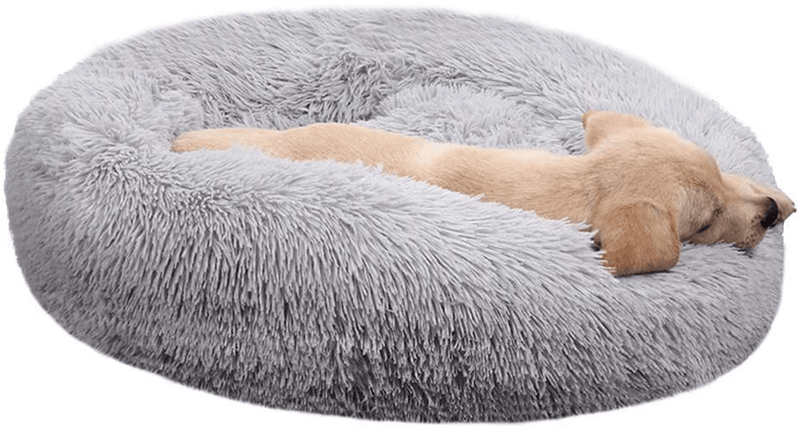 BODISEINT Modern Soft Plush Round Pet Bed for Cats or Small Dogs, Mini Medium Sized Dog Cat Bed Self Warming Autumn Winter Indoor Snooze Sleeping Cozy Kitty Teddy Kennel (M(23.6”Dx7.9 H), Light Grey) Animals & Pet Supplies > Pet Supplies > Cat Supplies > Cat Beds BODISEINT Light Grey L(27.6" Dx7.9 H) 