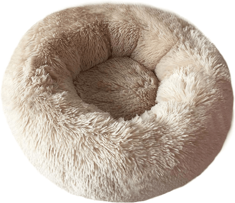 BODISEINT Modern Soft Plush Round Pet Bed for Cats or Small Dogs, Mini Medium Sized Dog Cat Bed Self Warming Autumn Winter Indoor Snooze Sleeping Cozy Kitty Teddy Kennel (M(23.6”Dx7.9 H), Light Grey) Animals & Pet Supplies > Pet Supplies > Cat Supplies > Cat Beds BODISEINT Champagne Small (Pack of 1) 