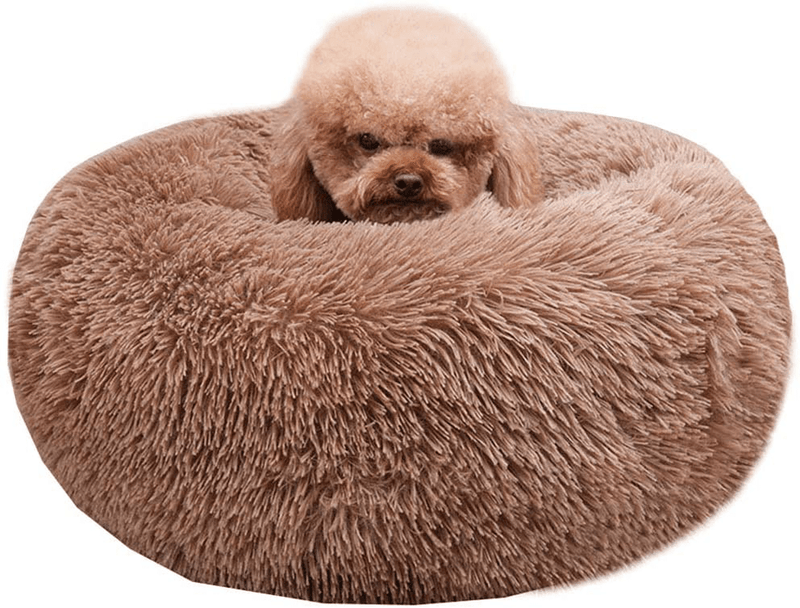 BODISEINT Modern Soft Plush Round Pet Bed for Cats or Small Dogs, Mini Medium Sized Dog Cat Bed Self Warming Autumn Winter Indoor Snooze Sleeping Cozy Kitty Teddy Kennel (M(23.6”Dx7.9 H), Light Grey) Animals & Pet Supplies > Pet Supplies > Cat Supplies > Cat Beds BODISEINT Coffee Medium (Pack of 1) 