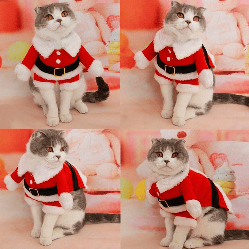 Bolbove Pet Christmas Santa Claus Suit Costume for Small Boy Dogs & Male Cats Jumpsuit Winter Coat Warm Clothes Animals & Pet Supplies > Pet Supplies > Cat Supplies > Cat Apparel Bolbove   