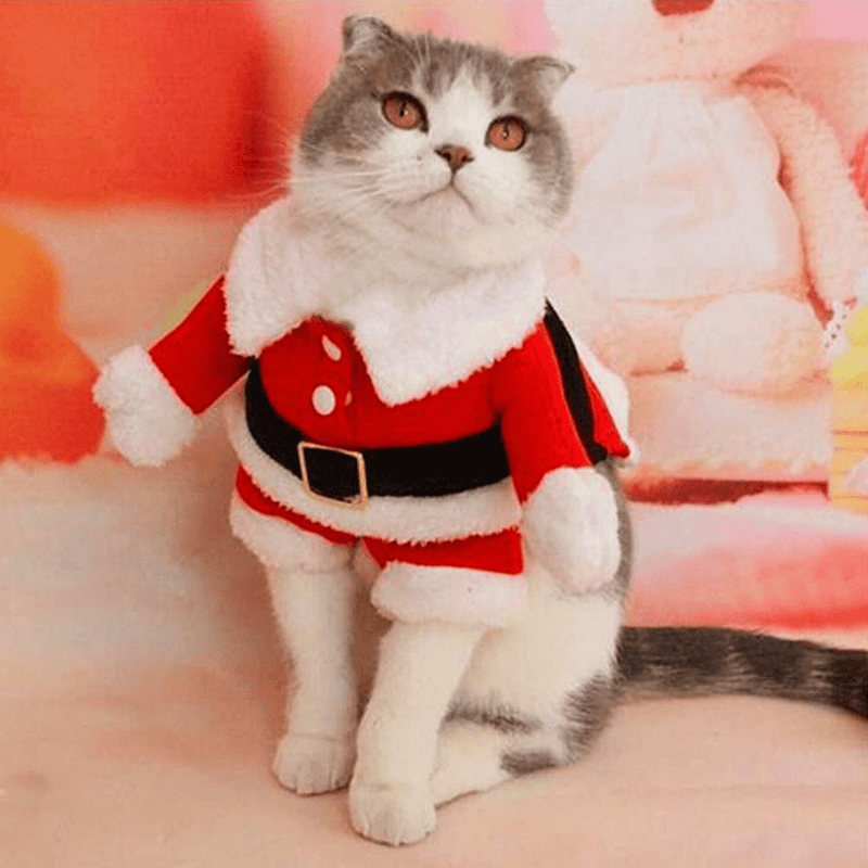 Bolbove Pet Christmas Santa Claus Suit Costume for Small Boy Dogs & Male Cats Jumpsuit Winter Coat Warm Clothes Animals & Pet Supplies > Pet Supplies > Cat Supplies > Cat Apparel Bolbove   
