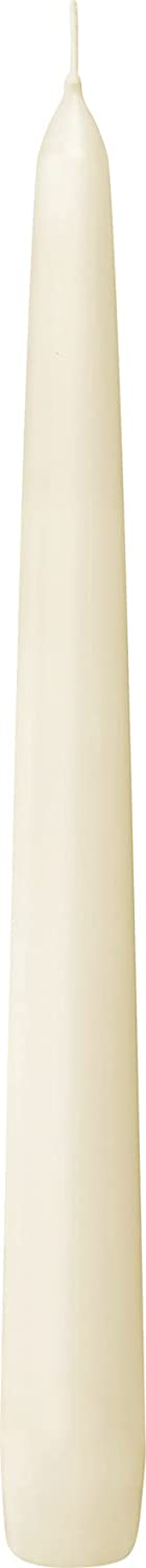 BOLSIUS Long Household Ivory Taper Candles - 10-inch Unscented Premium Quality Wax - 7 Hour Long Burning Dripless Candles Bulk Pack of 100 for Home Decor, Wedding, Parties and Special Occasions
