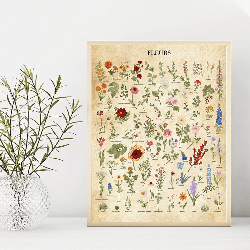 Botanical Wall Art - Flower Poster - Set of 1 (11x14") Vintage Botanical Prints | Plant Poster | Botanical Poster Prints| UNFRAMED Floral Prints, Plant Wall Art | Flower Posters, Set 3