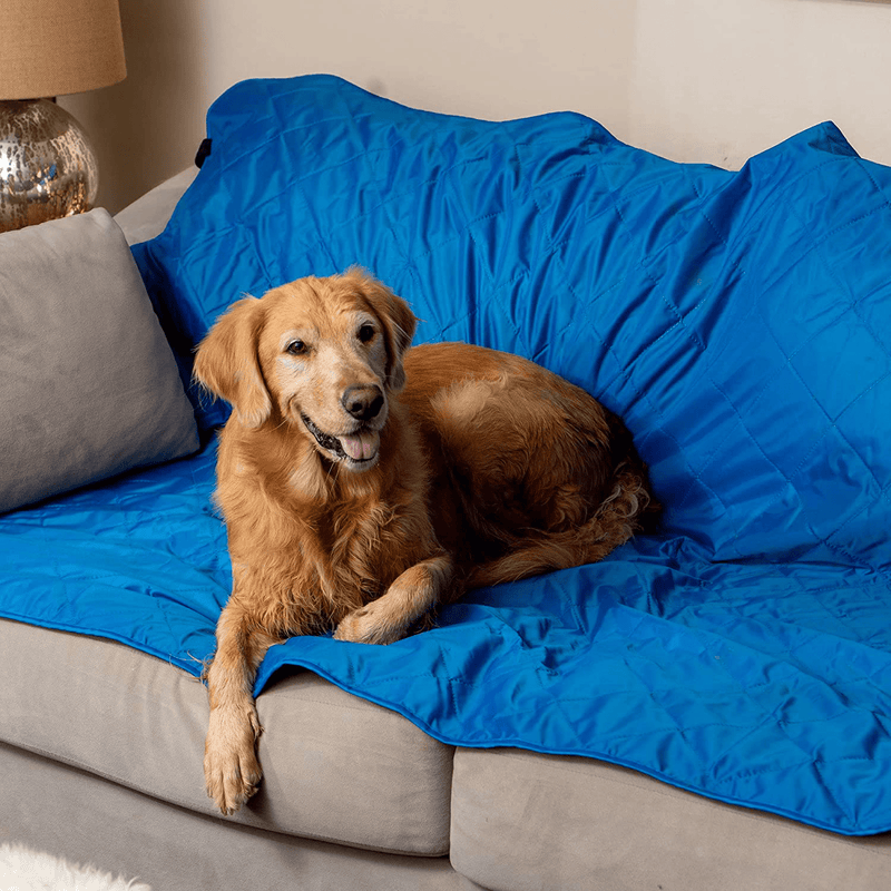 Brawntide Large Outdoor Waterproof Blanket - Quilted, Extra Thick Fleece, Warm, Windproof, Sandproof, Includes Stuff Sack, Shoulder Strap, Ideal Blanket for Beaches, Picnics, Camping, Stadiums, Dogs Home & Garden > Lawn & Garden > Outdoor Living > Outdoor Blankets > Picnic Blankets Aspiire Limited   