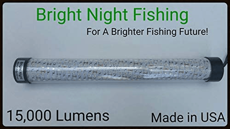 Bright Night Fishing 15,000 Lumen 30ft Cord Waterproof AC Underwater Fishing Light 300 Green LED Submersible Dock Light,