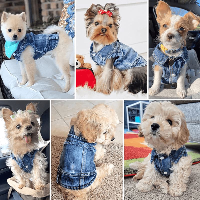 Brocarp Dog Jean Jacket, Blue Denim Lapel Vest Coat T-Shirt Costume Cute Girl Boy Dog Puppy Clothes, Comfort and Cool Apparel, for Small Medium Dogs Cats, Machine Washable Dog Outfits