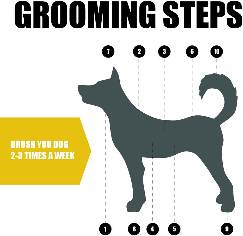 BV Dog Brush and Cat Brush, Pet Grooming Comb, 2 Sided Bristle and Pin for Long and Short Hair Dog, Removing Shedding Hair Animals & Pet Supplies > Pet Supplies > Dog Supplies BV   