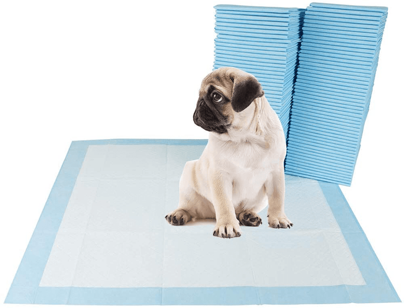 BV Pet Potty Training Pads for Dogs Puppy Pads Pee Pads, Quick Absorb, 22" x 22", 50/100 Count Animals & Pet Supplies > Pet Supplies > Dog Supplies > Dog Diaper Pads & Liners BV 100 Count (Pack of 1)  