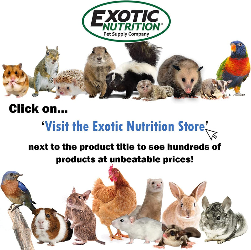 Exotic Nutrition Dried Insect 3 Pack - Crickets, Grasshoppers, Mealworms - for Sugar Gliders, Hedgehogs, Wild Birds, Chickens, Turtles, Tropical Fish, Reptiles