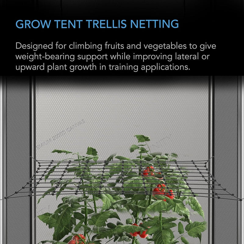 AC Infinity Grow Tent Trellis Netting 4X4', Heavy-Duty Elastic Plant Net with Steel Hooks, Flexible Hydroponics Support for Grow Tents, Gardening, and Horticulture