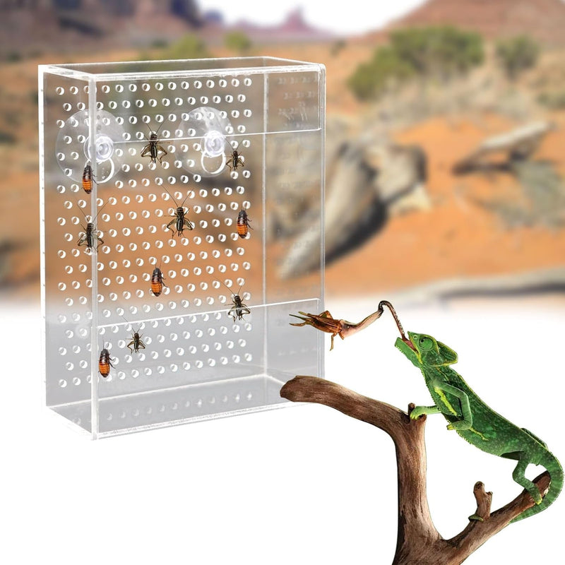 Bearded Dragon Feeder, Chameleon Bug Bowl, Transparentk Acrylic Reptile Feeder Box, Wall-Mounted Insect Feeder with Suction Cups, Tank and Aquarium Accessories for Lizard Bearded Dragon Gecko Frog