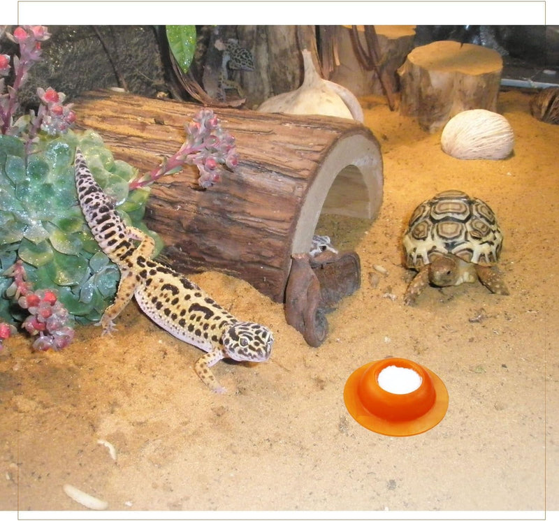 2 Pack Gecko Calcium Dish for Leopard Geckos Reptiles Small Pets Leopard Gecko Food Dish Calcium Bowl Reptile Water Dish Food Bowl