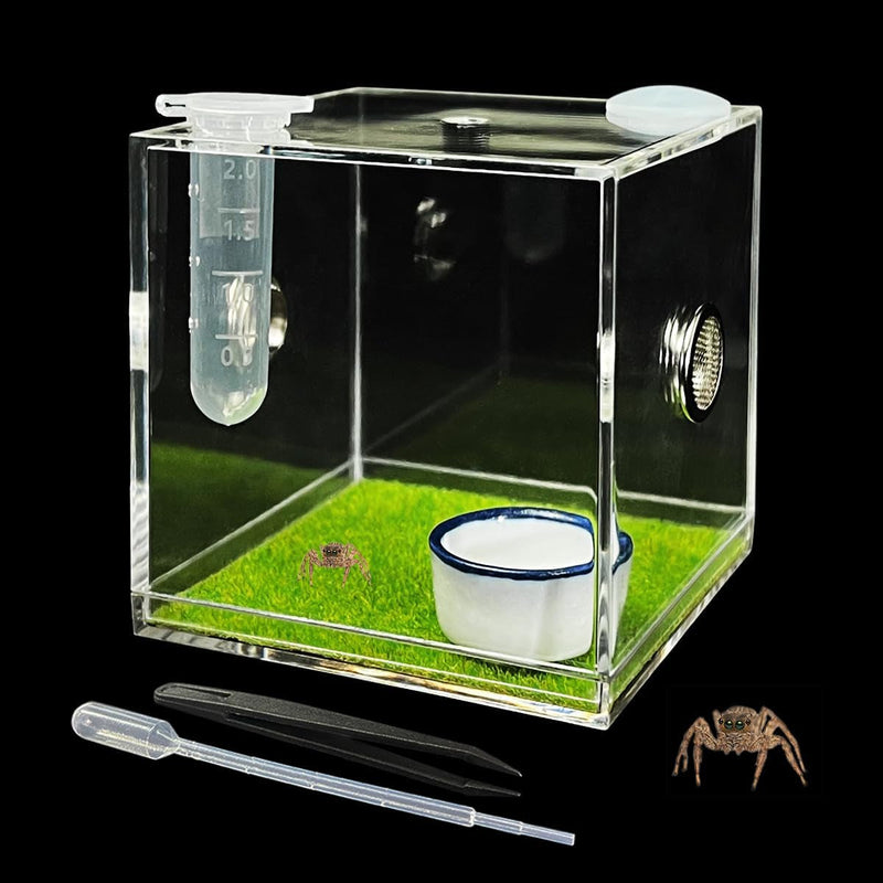 GKPONSX Acrylic Jumping Spider Enclosure, Spider Terrarium Accessories with Bowls Tongs Dropper for Snail Tarantula Scorpion Praying Mantis Isopods Insects