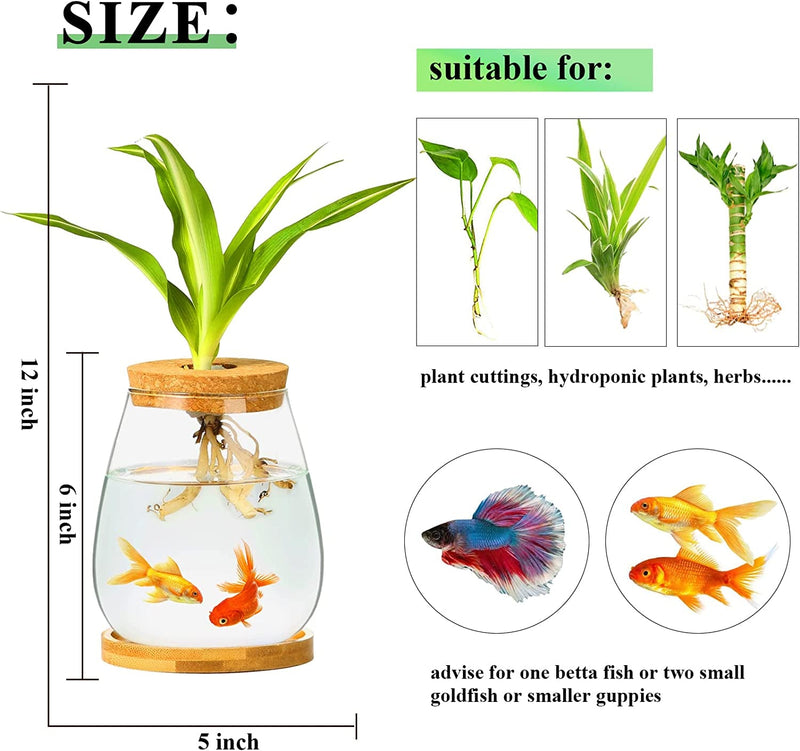 Desktop Fish Bowl Clear Glass Small Fish Tank with Wood Lid and Bamboo Stand for Betta Fish Plants Terrarium Home Office Decoration Gifts