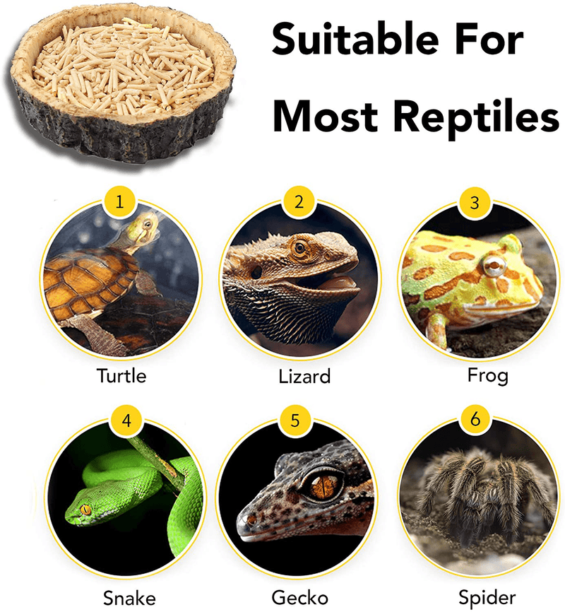 CalPalmy 2 Pack Reptile Food Bowls - Reptile Water and Food Bowls, Novelty Food Bowl for Lizards, Young Bearded Dragons, Small Snakes and More - Made from Non-Toxic, BPA-Free Plastic Animals & Pet Supplies > Pet Supplies > Reptile & Amphibian Supplies > Reptile & Amphibian Habitats CALPALMY   