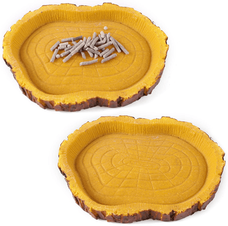 CalPalmy 2 Pack Reptile Food Bowls - Reptile Water and Food Bowls, Novelty Food Bowl for Lizards, Young Bearded Dragons, Small Snakes and More - Made from Non-Toxic, BPA-Free Plastic Animals & Pet Supplies > Pet Supplies > Reptile & Amphibian Supplies > Reptile & Amphibian Habitats CALPALMY 3" x 5" x 0.8".  