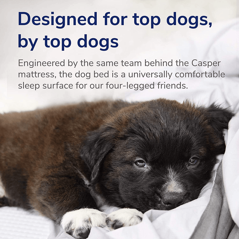 Casper Dog Bed Animals & Pet Supplies > Pet Supplies > Dog Supplies > Dog Beds Casper   