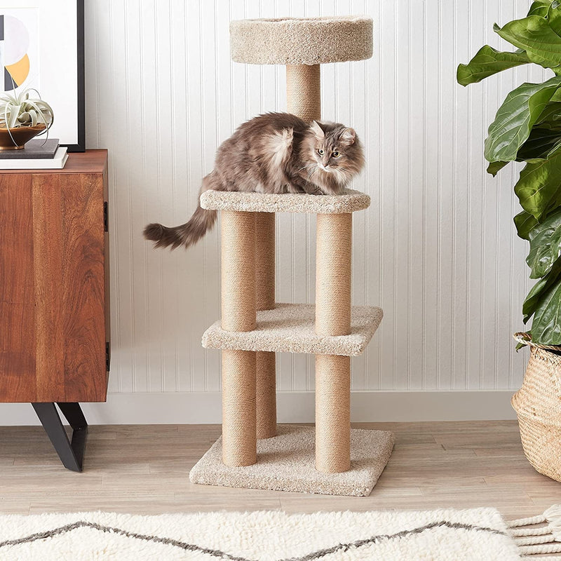 Cat Activity Tree with Scratching Posts Sporting Goods > Outdoor Recreation > Boating & Water Sports > Swimming > Swim Goggles & Masks KOL DEALS   