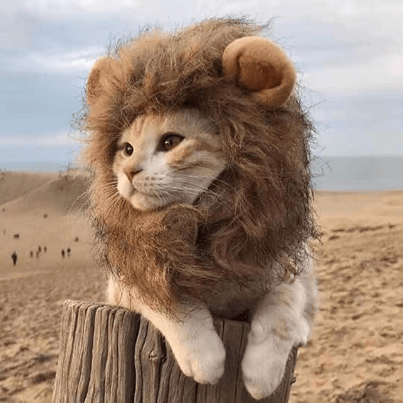Cat Cap,Lion Mane for Cats,Dress Your Cat as a Lion.3 Different Sizes.(S) Animals & Pet Supplies > Pet Supplies > Cat Supplies > Cat Apparel Yohi   