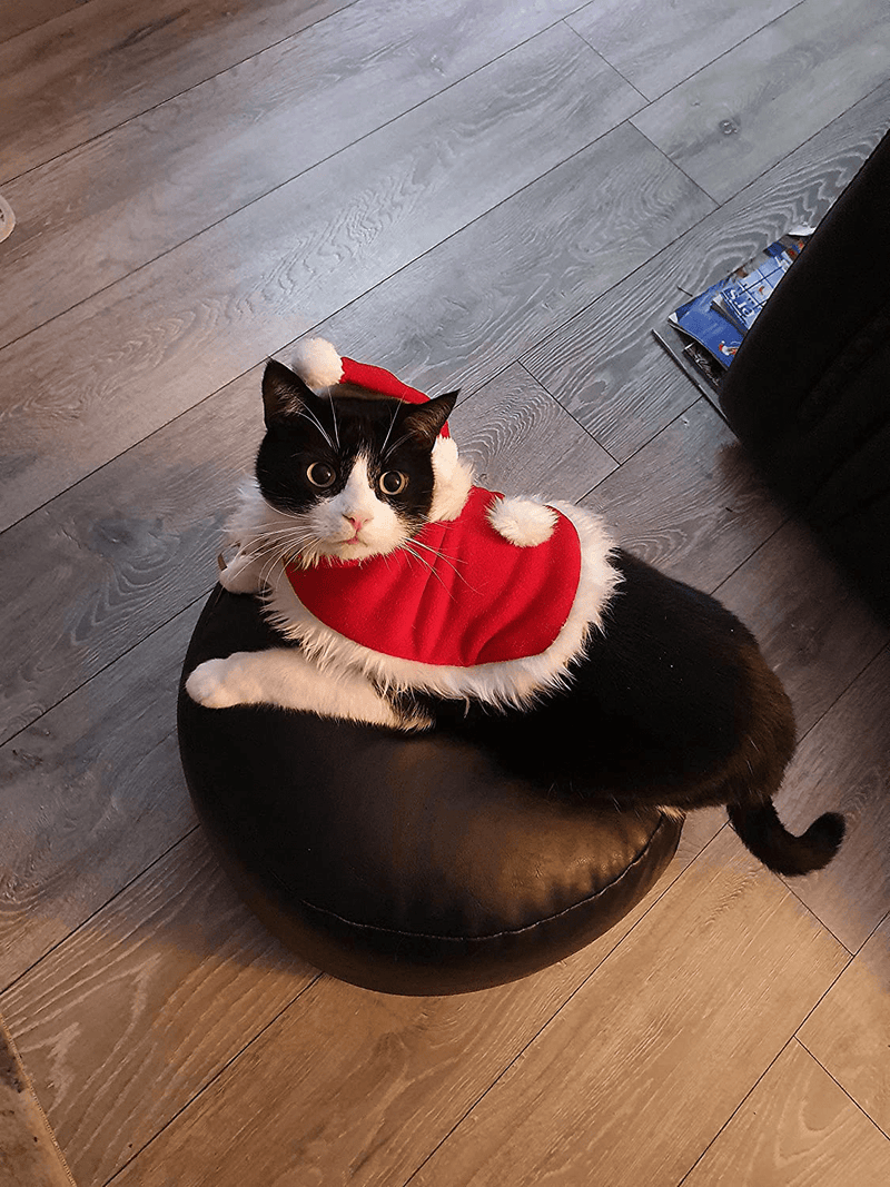 Cat Christmas Costume with Hat - Adjustable Cute Santa Cat Cape with Bells, Xmas Outfit for Dogs Cats Sweet Gift Animals & Pet Supplies > Pet Supplies > Cat Supplies > Cat Apparel nutroeno   