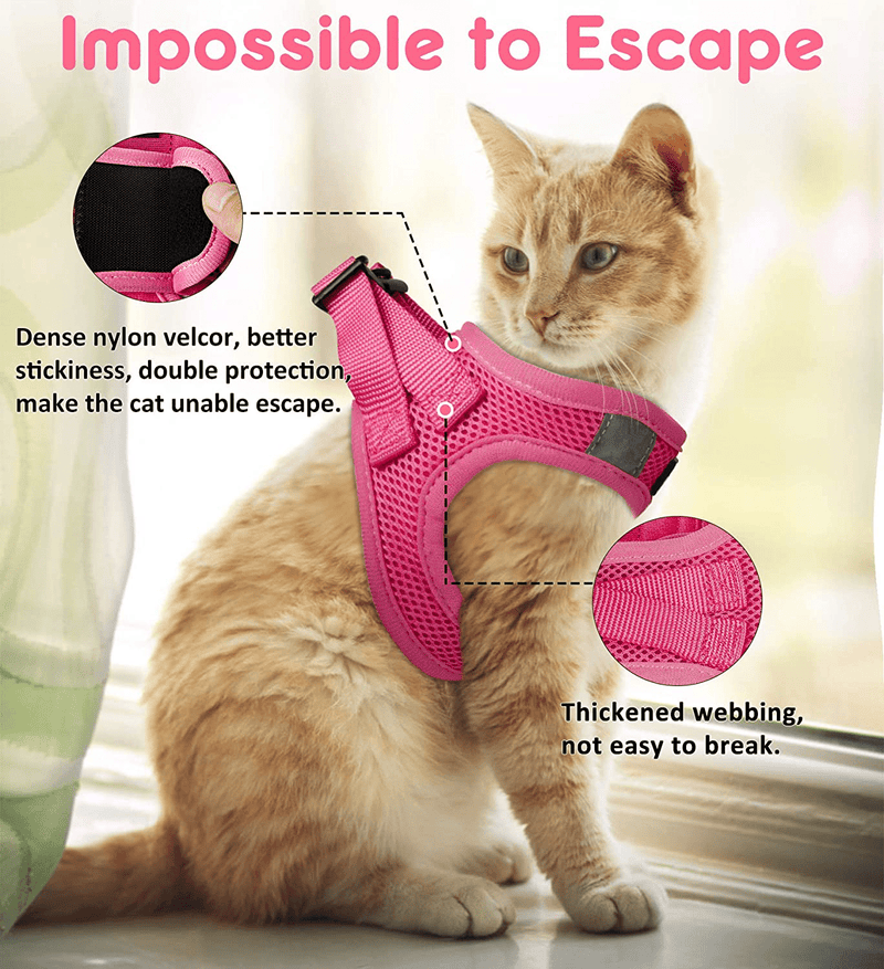 Cat Harness and Leash for Walking Escape Proof, Adjustable Cat Leash and Harness Set, Lifetime Replacement, Lightweight Kitten Harness, Easy Control Breathable Cat Vest with Reflective Strip Animals & Pet Supplies > Pet Supplies > Cat Supplies > Cat Apparel FAYOGOO   