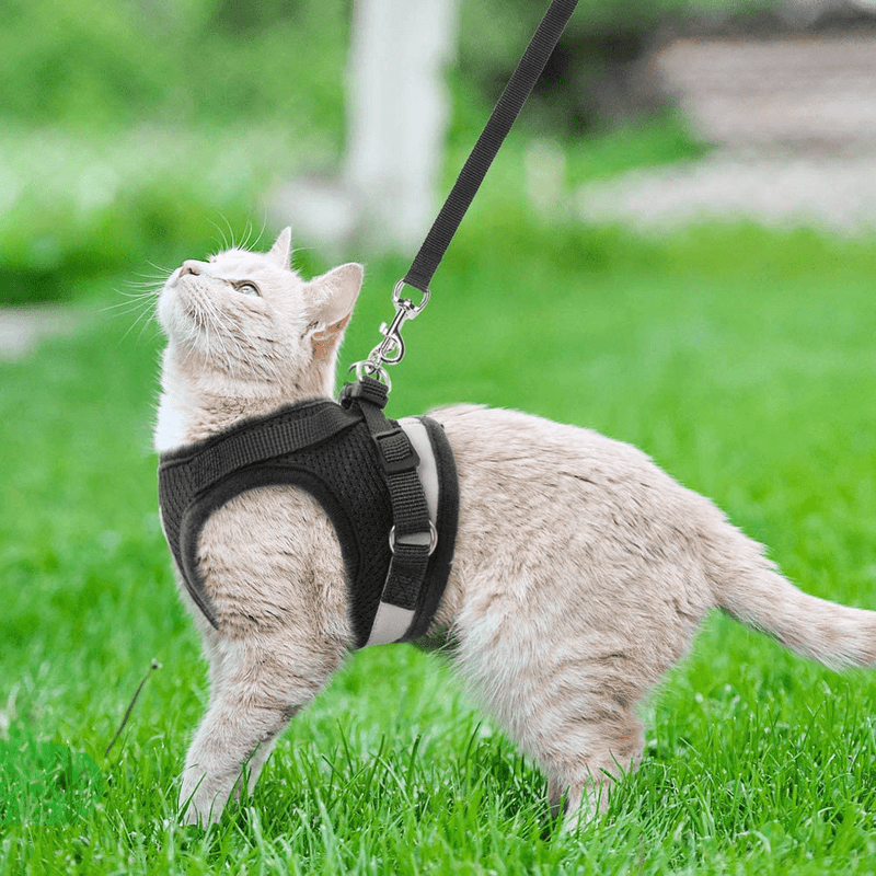 Cat Harness and Leash Set - Reflective Escape Proof Cat Harness for Kitties Daily Outdoor Walking with Soft Breathable Mesh Chest Strap and Durable Leash, Black