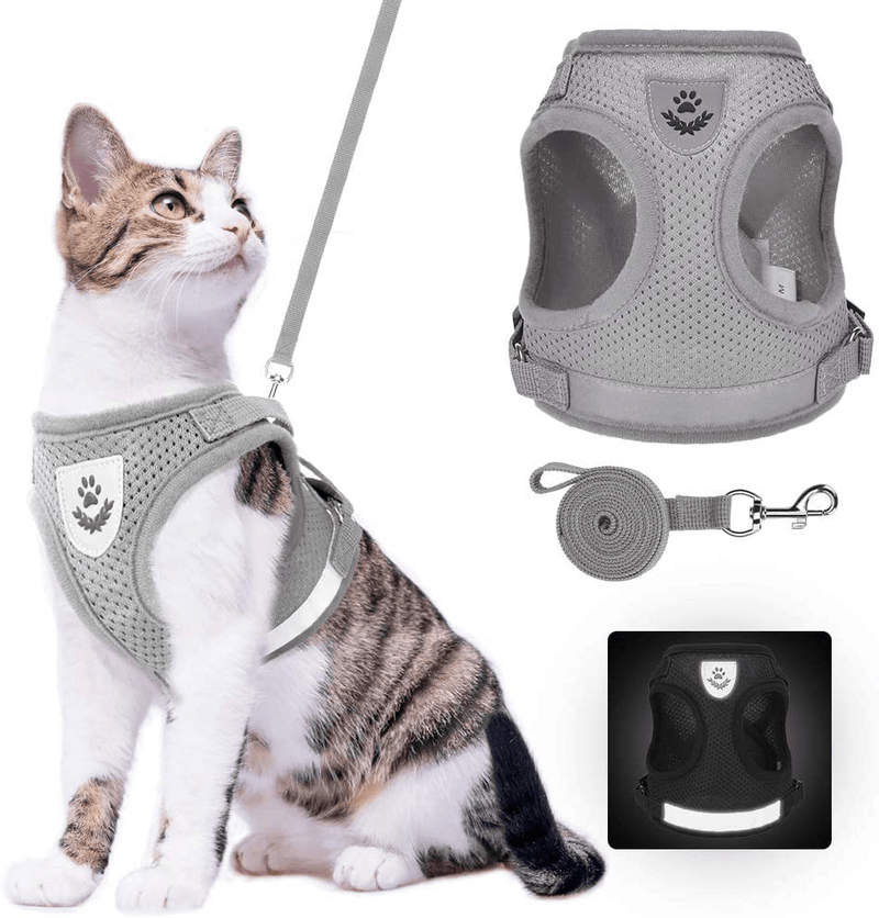 Cat Harness and Leash Set - Reflective Escape Proof Cat Harness for Kitties Daily Outdoor Walking with Soft Breathable Mesh Chest Strap and Durable Leash, Black Animals & Pet Supplies > Pet Supplies > Cat Supplies > Cat Apparel SCIROKKO Grey Medium (Pack of 1) 