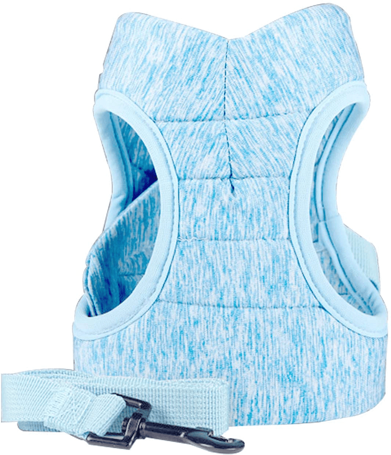 Cat Harness and Leash, Ultra Light Escape Proof Kitten Collar Cat Walking Jacket with Running Cushioning Soft and Comfortable (Blue, 11 to 13 Inches, 6 to 10 Lbs) Animals & Pet Supplies > Pet Supplies > Cat Supplies > Cat Apparel Qikafan Blue 11 to 13 Inches, 6 to 10 lbs 