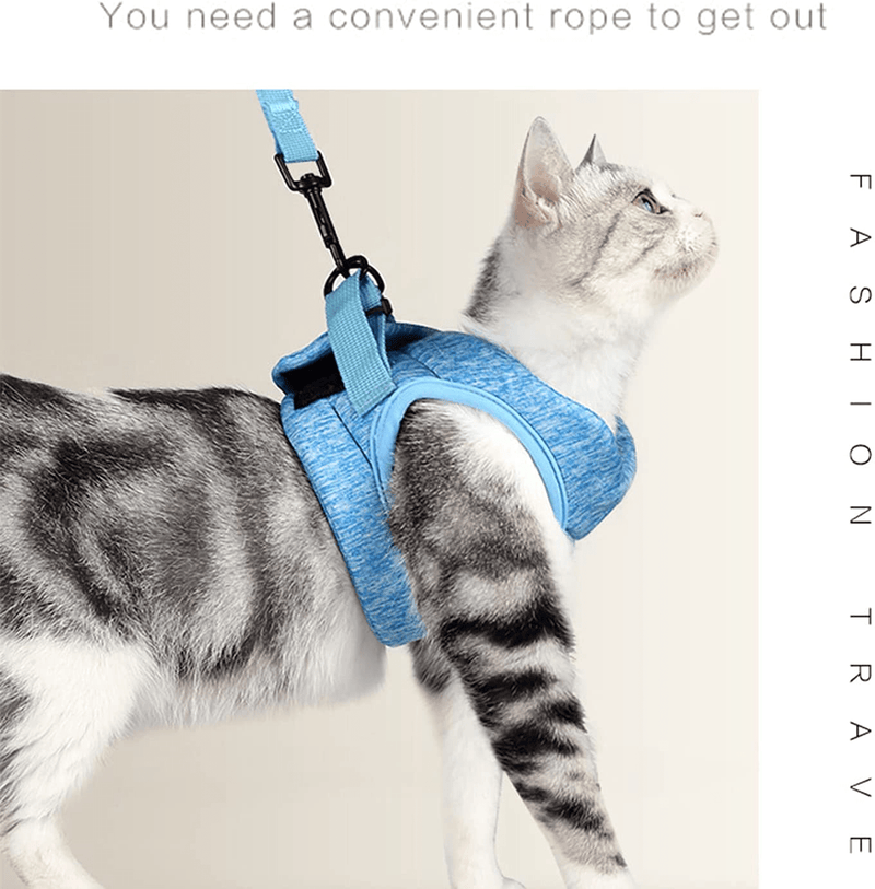 Cat Harness and Leash, Ultra Light Escape Proof Kitten Collar Cat Walking Jacket with Running Cushioning Soft and Comfortable (Blue, 11 to 13 Inches, 6 to 10 Lbs) Animals & Pet Supplies > Pet Supplies > Cat Supplies > Cat Apparel Qikafan   