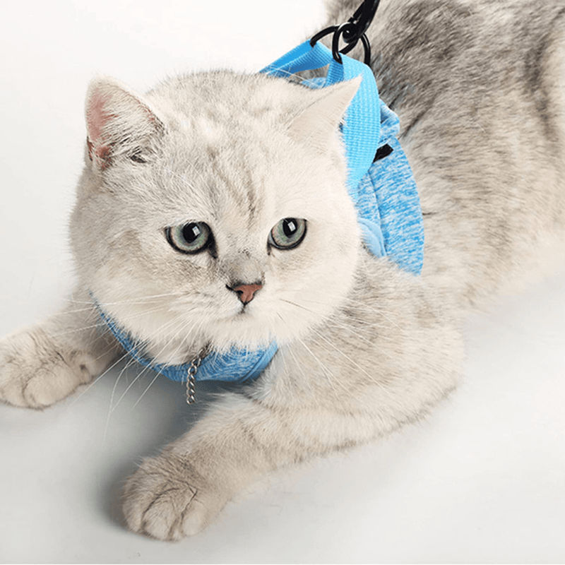 Cat Harness and Leash, Ultra Light Escape Proof Kitten Collar Cat Walking Jacket with Running Cushioning Soft and Comfortable (Blue, 11 to 13 Inches, 6 to 10 Lbs) Animals & Pet Supplies > Pet Supplies > Cat Supplies > Cat Apparel Qikafan   