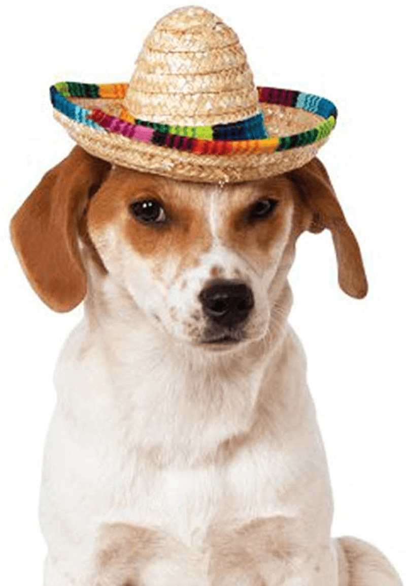 Cat Mexican Hat Mini Sombrero Cinco De Mayo Poncho Party Straw Hats for Small Dog Pets Puppy Animals & Pet Supplies > Pet Supplies > Cat Supplies > Cat Apparel Wittocs   