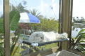 Cat Window Perch, Cat Hammock Window Seat, Space Saving Window Mounted Cat Bed for Large Cats Premium Set Animals & Pet Supplies > Pet Supplies > Cat Supplies > Cat Beds PEFUNY Black  