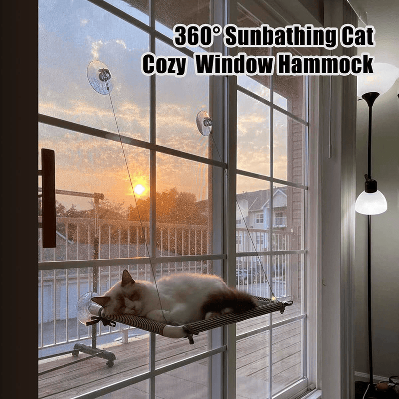 Cat Window Perch Creative Cat Hammock Hanging Cat Shelves Bed with Soft Mat Pad Window Mounted Seat for Large Indoor Cats Animals & Pet Supplies > Pet Supplies > Cat Supplies > Cat Beds HOPET   