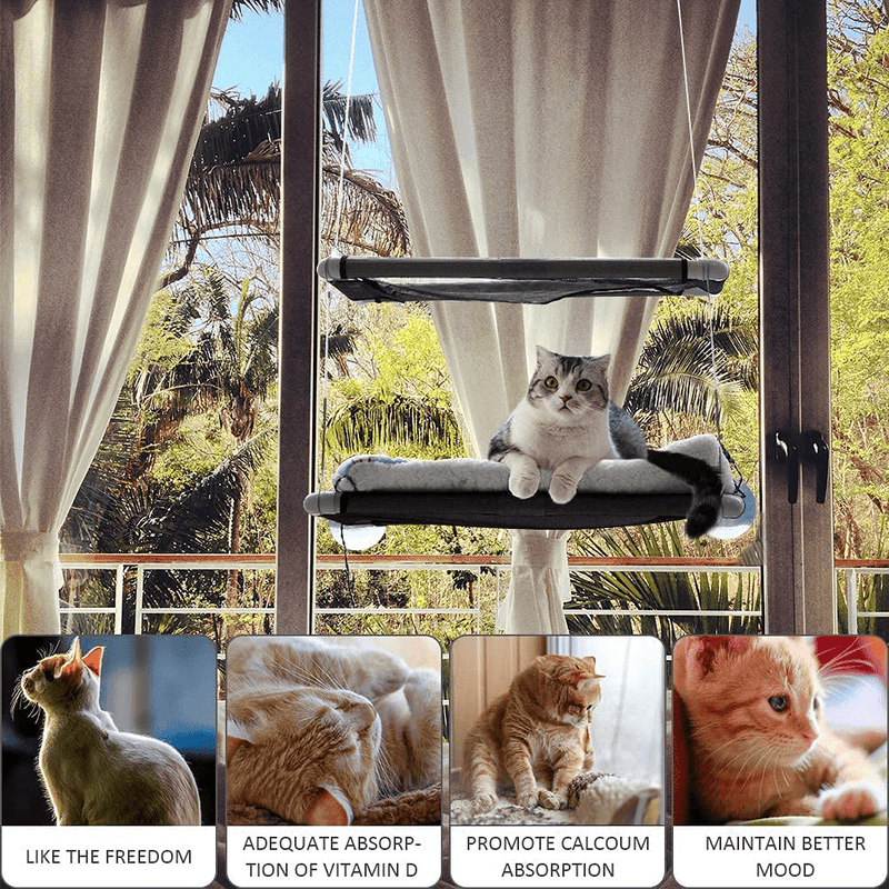 Cat Window Perches Deluxe Double Layers, Free Soft Lamb'S Fleece Blanket and Toys, up to 55 Lbs, Space-Saving Cat Bed, Pet Kitty Resting Seat Safety Cat Hammock for Large Cats, Full 360° Sunbathing Animals & Pet Supplies > Pet Supplies > Cat Supplies > Cat Beds SiSiPet   