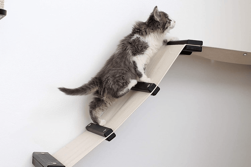 Catastrophicreations Gardens Set for Cats Multiple-Level Wall Mounted Scratch, Hammock Lounge, Play & Climbing Activity Center Furniture Cat Tree Shelves Animals & Pet Supplies > Pet Supplies > Cat Supplies > Cat Beds CatastrophiCreations   