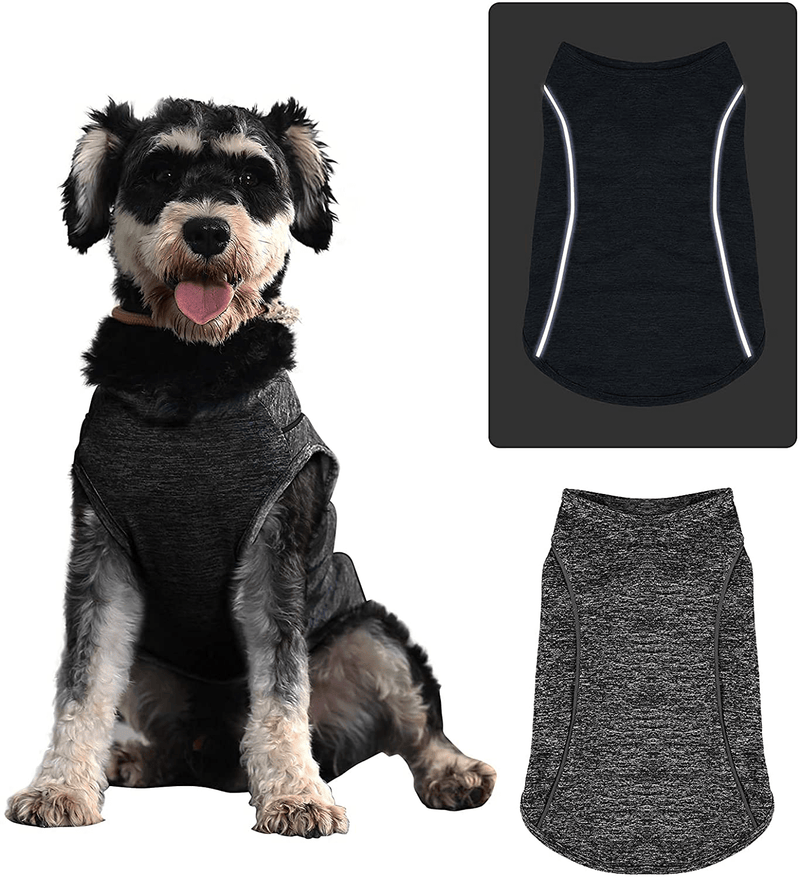Cathpetic Dog Shirt Dog Clothes - Dog Clothes for Small Dogs Boy Excellent Craftsmanship Puppy Clothes Breathable and Lightweight Dog Shirts Quick Dry Dog T-Shirts with Reflective Label (Grey, Large) Animals & Pet Supplies > Pet Supplies > Dog Supplies > Dog Apparel Cathpetic   