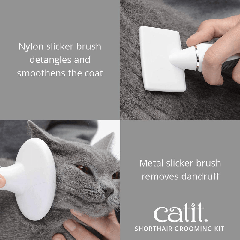 Catit Senses 2.0 Cat Hair Grooming Kit Animals & Pet Supplies > Pet Supplies > Cat Supplies Catit   