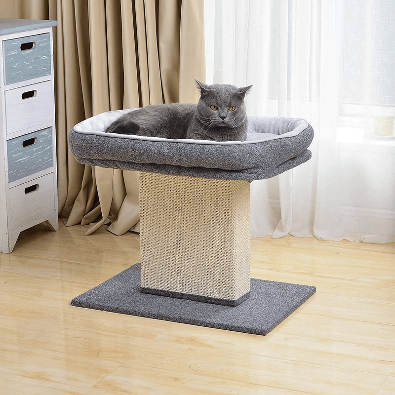 Catry Cat Bed with Scratching Post - Minimalist Style Design of Cat Tree with Cozy Cat Bed and Teasing Scratching Post, Allure Kitten to Stay around This Sturdy and Easy to Assemble Cat Furniture Animals & Pet Supplies > Pet Supplies > Cat Supplies > Cat Beds Catry   