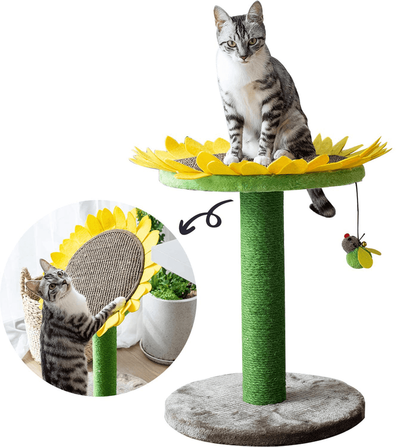 Catry Cat Scratching Post Animals & Pet Supplies > Pet Supplies > Cat Supplies > Cat Beds Catry Sunflower 23" Green and Yellow  